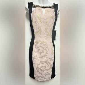 Jax Nude and Blaxk Mini Dress